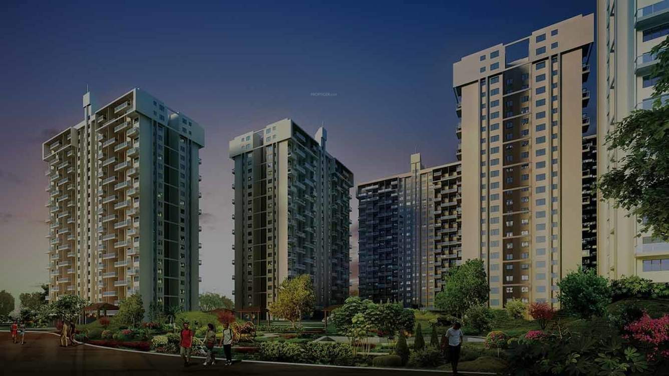  life republic sector r16 16th avenue Elevation