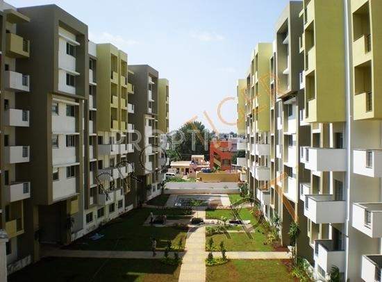 ganga socrates Images for Elevation of Suraj Ganga Socrates