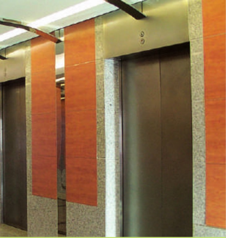  chintamani gladiola paradise Lift Available