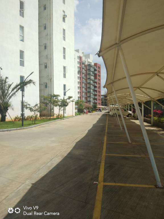  nulife phase 1 Others