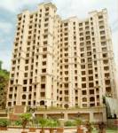  indian-ocean-wing-c Elevation