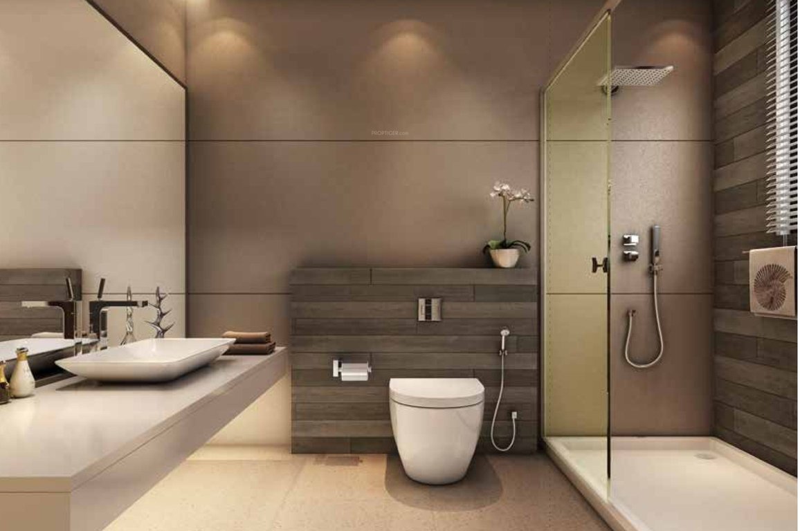 Images for Main Other of  Celestia