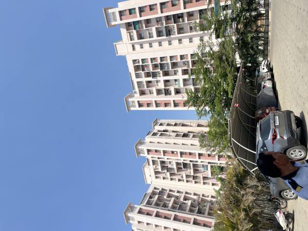  zen-world Construction Status Apr-24