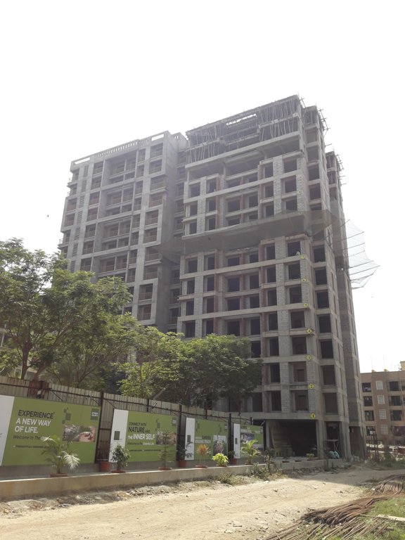  grace square type d5 D5 Construction Status May 19