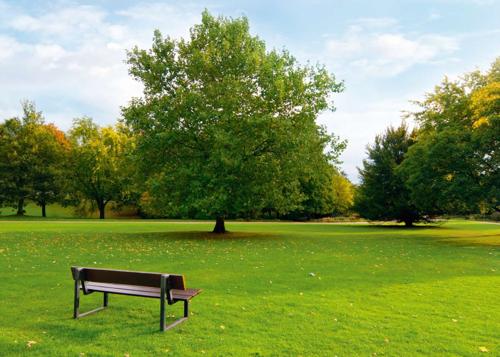  garden-city-pinecrest Others