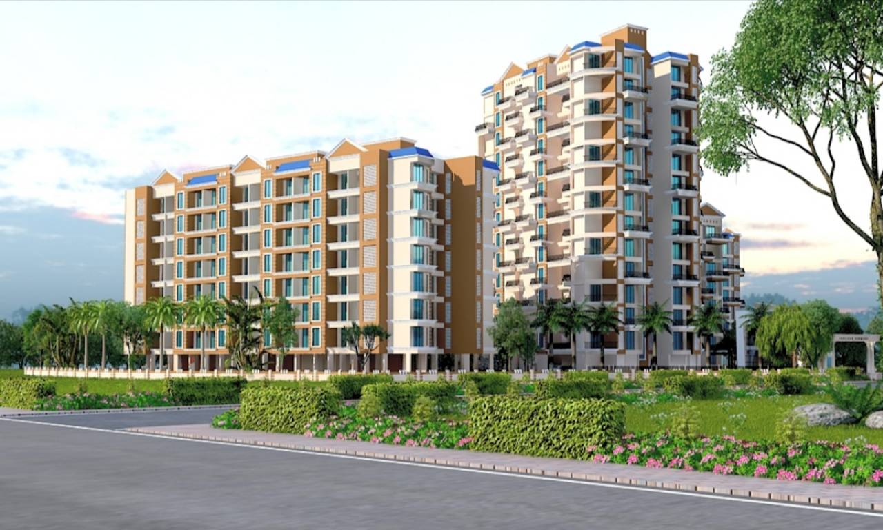  precious harmony Elevation