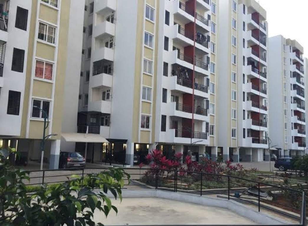  kingdom phase 2 Elevation