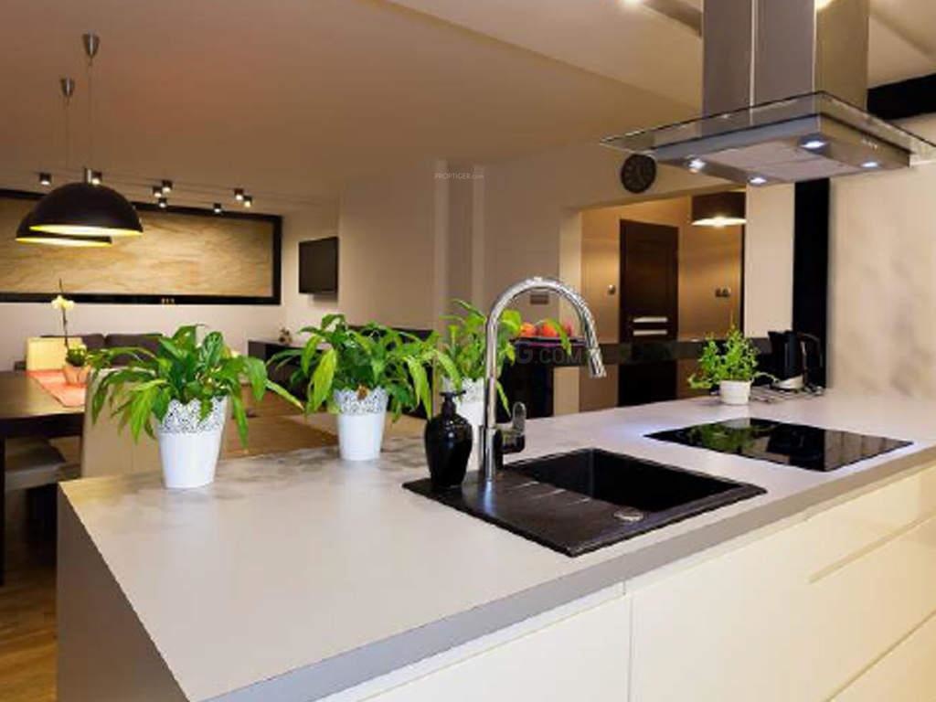  solitaire phase iii Kitchen