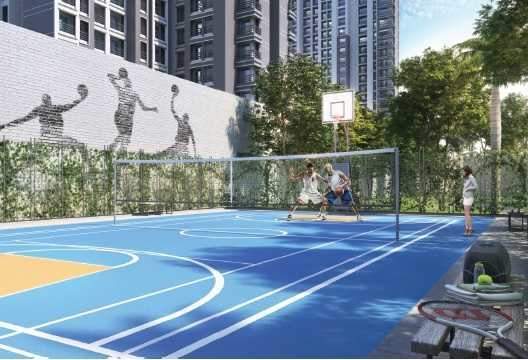  and lily Basketball Court