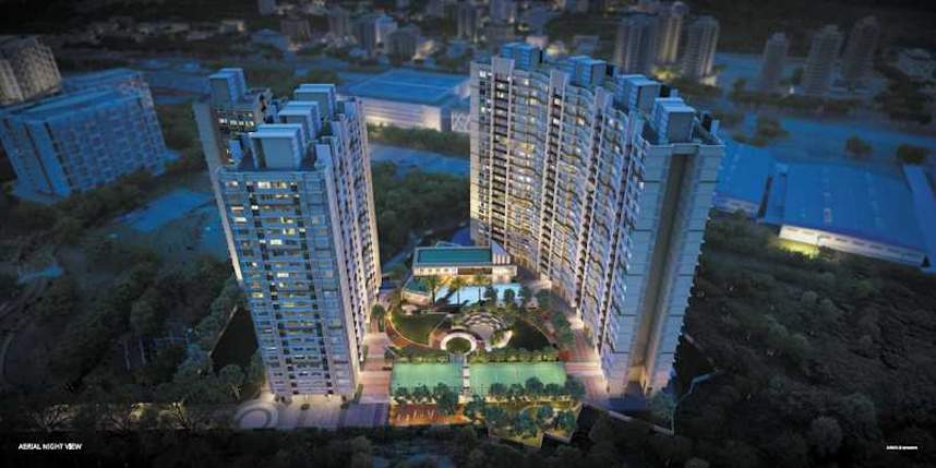  earth fern Elevation