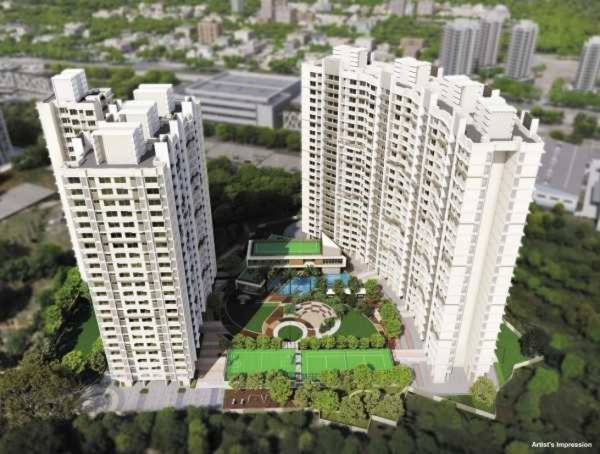  earth-fern Elevation