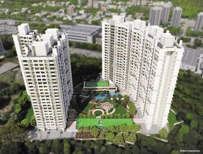  earth fern Elevation