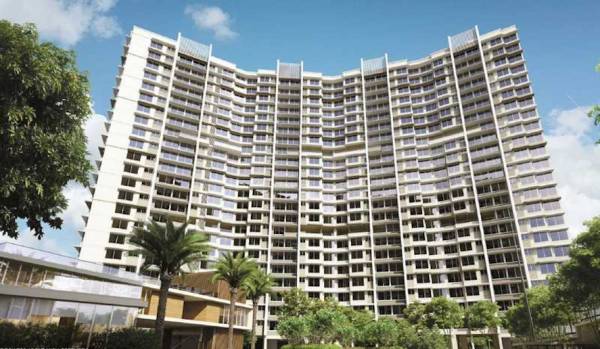  earth-fern Elevation