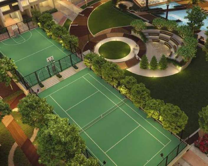  earth fern Basketball Court