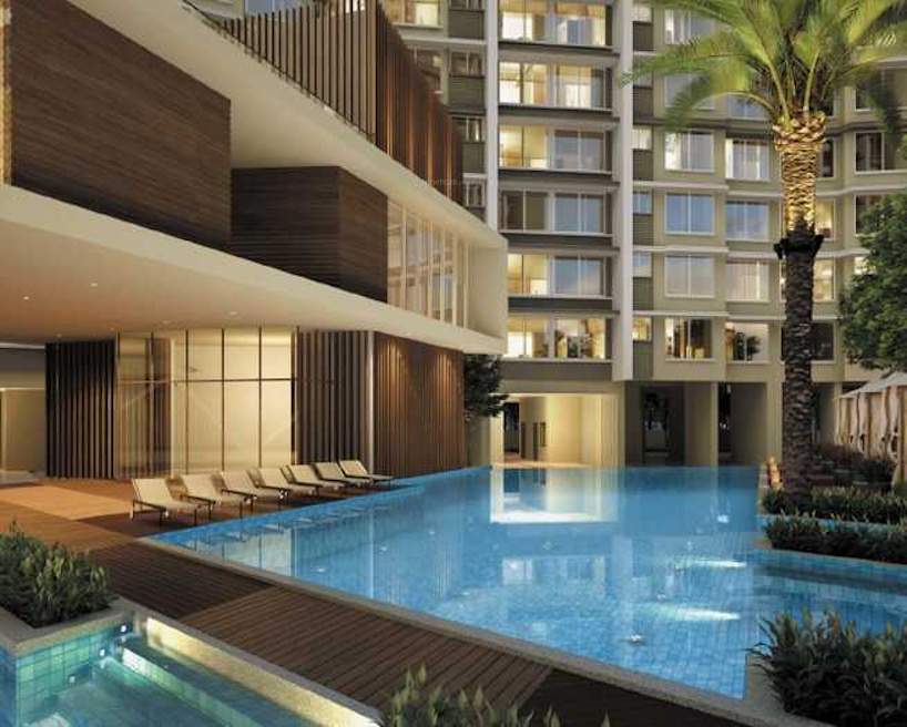  earth fern Swimming Pool