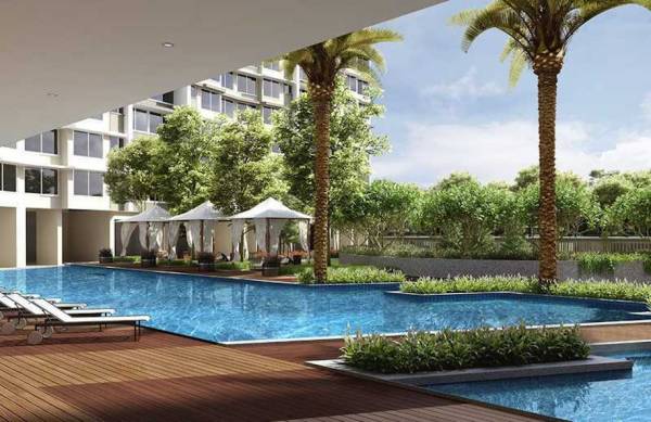  earth-daffodil Swimming Pool