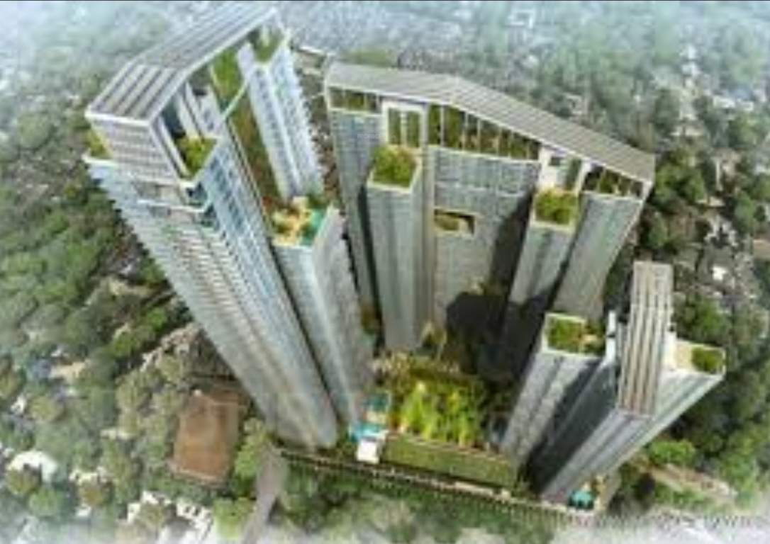  the bliss collection Elevation