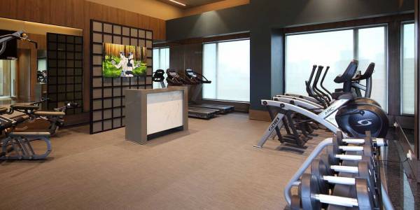  aether-wing-b2-phase-1b-from-21st-to-33rd-floor Gymnasium