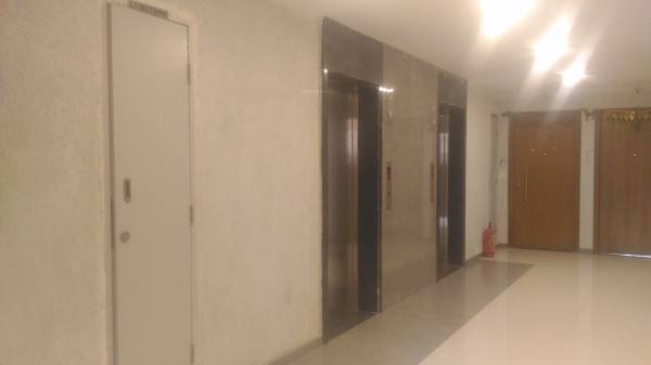  azziano-wing-f Others