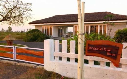 ecopolis Elevation Elevation