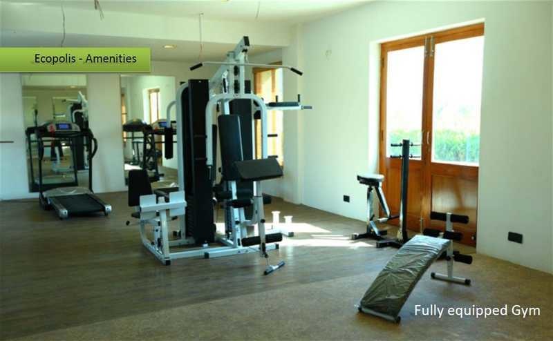 ecopolis Gymnasium