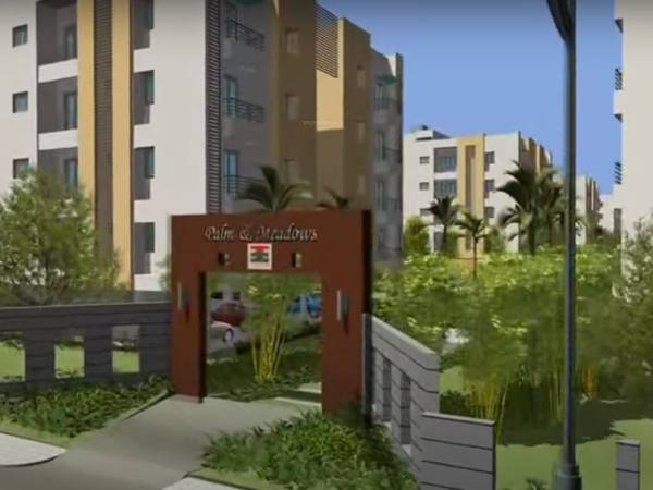  palm-n-meadows Elevation