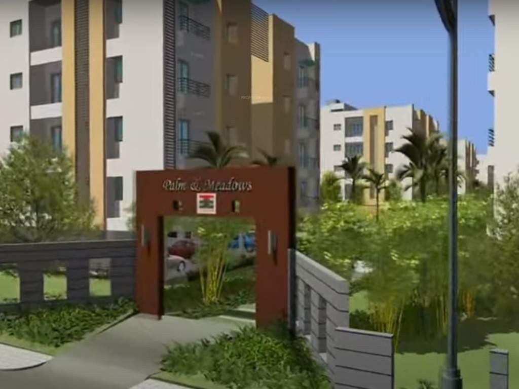  palm n meadows Elevation