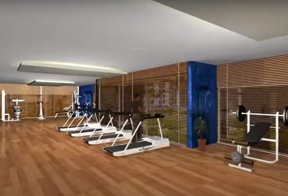  palm n meadows Gymnasium