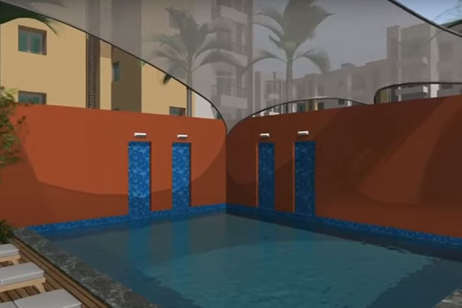  palm n meadows Swimming Pool