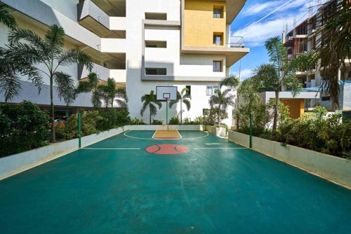 Basketball Court pride Basketball Court