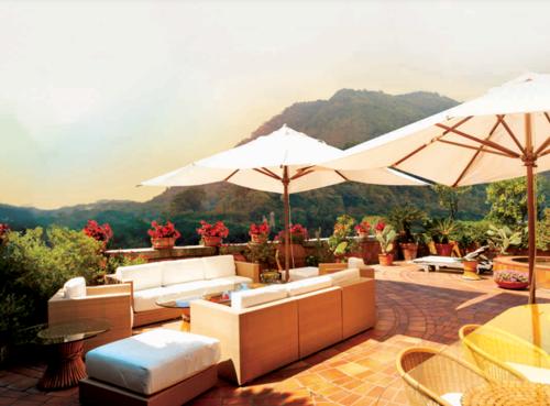  tridhaatu-aranya Terrace Garden