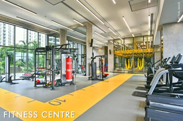  elements-wing-sg Others