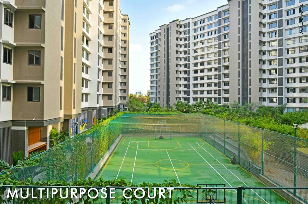  elements wing sg Others