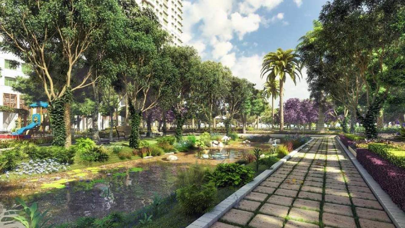  monte south 4 Landscape Garden and Tree Planting