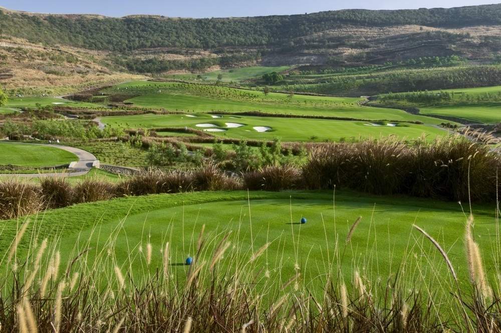  the residences Landscaped Gardens