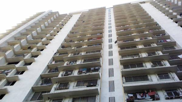  sparkle-wing-c Elevation