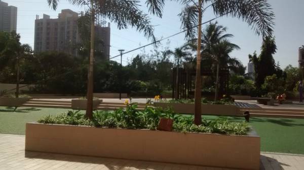  sparkle-wing-c Landscaped Gardens