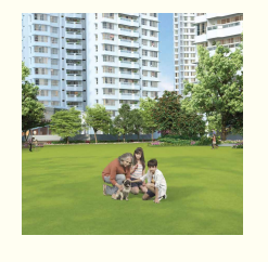  emerald isle t7 Others