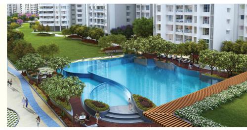  emerald-isle-t7 Others