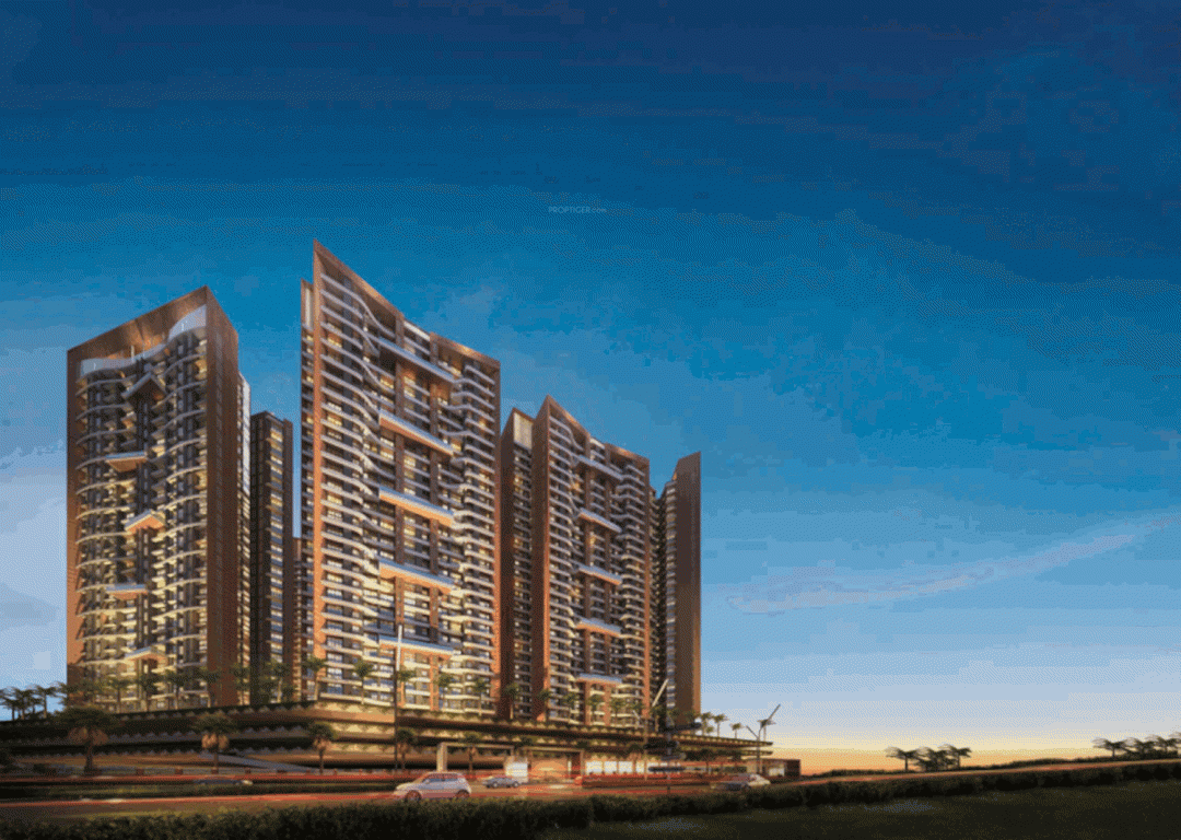 Elevation  alpinia Elevation