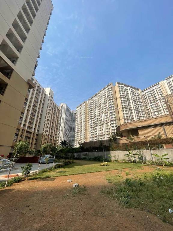  apna ghar phase ii plot a Landscape Garden and Tree Planting