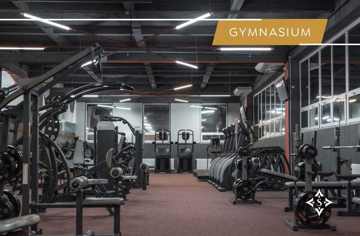  stella c2 d1 and d2 Gymnasium