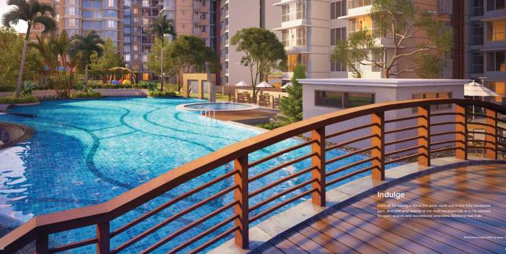  nexzone vega 1 Swimming Pool