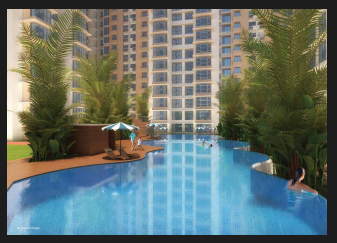  nexzone acrux 1 Others