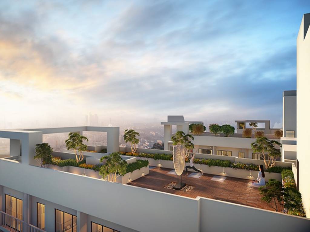  vihaa phase 5 Others