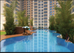  nexzone zodiac 2 Others