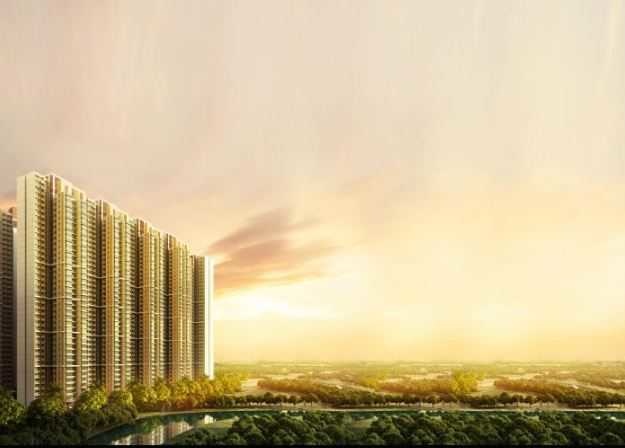  nexzone zodiac 1 Elevation