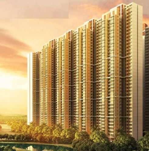  nexzone zodiac 1 Elevation