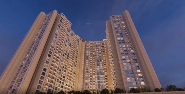  nexzone-zodiac-1 Elevation