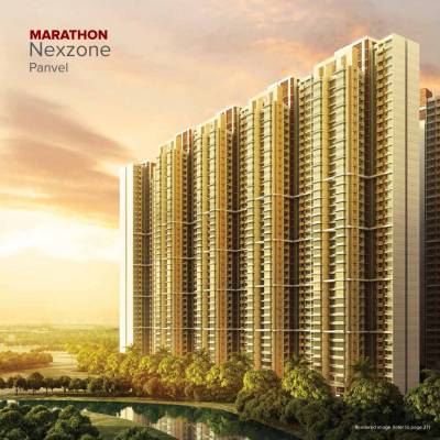 nexzone-triton-1 Elevation Elevation